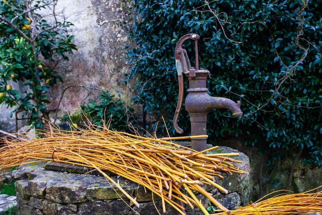 Casa Do Cesteiro Santiago de Compostela Dış mekan fotoğraf